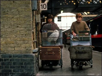 Du coup Harry et Ron ont raté leur train, comme ils sont en retard, Ron a une idée pour se rendre à Poudlard ! Laquelle ?
