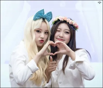 Quelle est ta "spécialité" ?