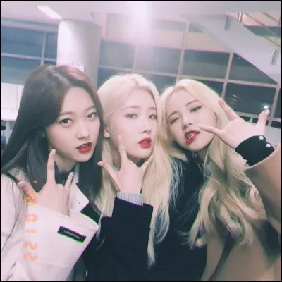 Ta nourriture favorite :