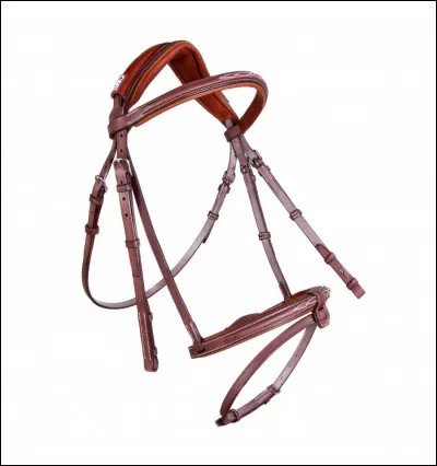 Comment se nomme la partie du filet qui se met dans la bouche du cheval ?