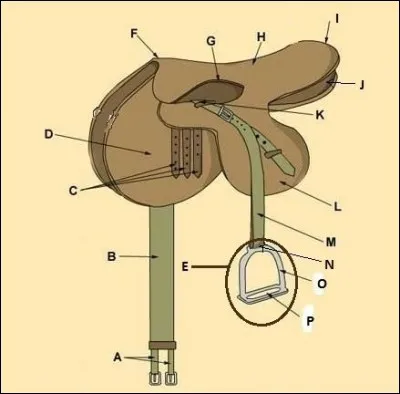 Comment se nomme la partie I ?