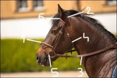 Comment nomme-t-on les parties 4,5 et 6 de ce filet ?