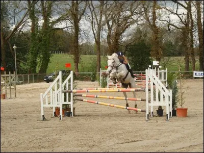 Comment se nomme cette discipline ?