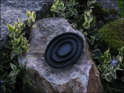 Comment se nomme cette brosse ?