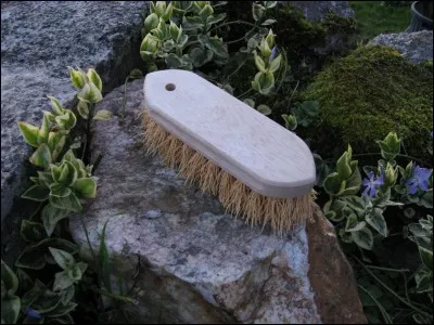 Comment se nomme cette brosse ?