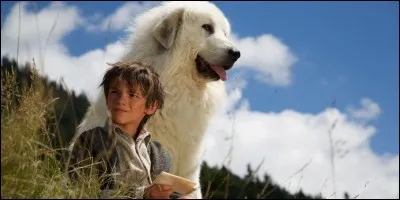 Quelle est la race de Belle dans "Belle et Sébastien" ?