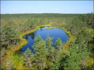 Quelle est la capitale de l'Estonie ?