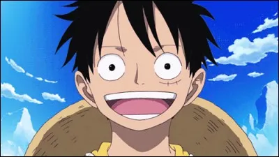 Quels sont les surnoms de Monkey D. Luffy ?