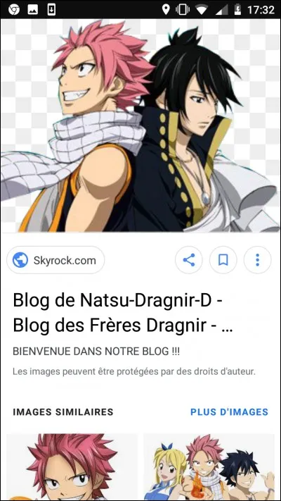 Quel âge a Natsu ?