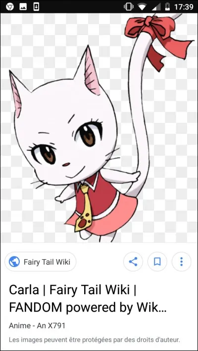 Quel est le chasseur de dragons qui possède Carla ?