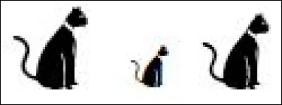 D&eacute;nombrer une quantit&eacute;. T&acirc;che demand&eacute;e &agrave; l'&eacute;l&egrave;ve : "Comptez tous les chats et inscrivez leur nombre dans la case d'&agrave; c&ocirc;t&eacute;." Cet exercice &eacute;value : (2 r&eacute;ponses)