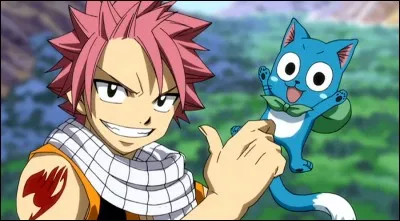 Comment s'appelle l'animal de Natsu ?