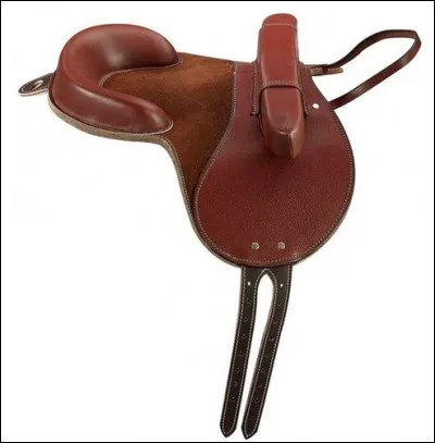 Comment nomme-t-on cette selle ?