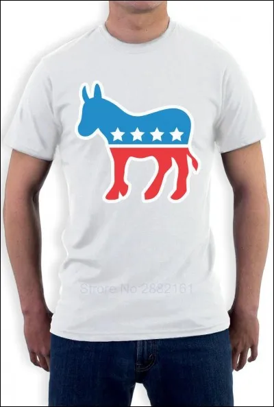 Beaucoup d'observateurs pensent que ces élections vont se solder par une vague bleue. Qu'est-ce que cela signifierait ?