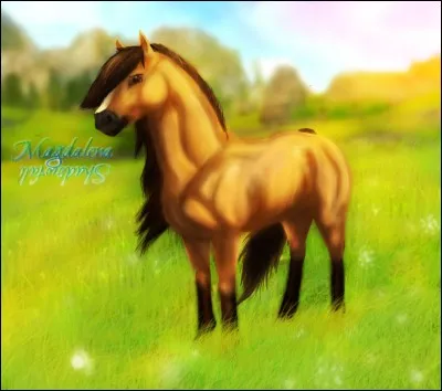 Quelle cheval n'existe pas ?