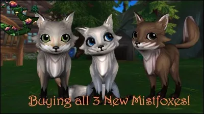 Où trouve-t-on les Mistfox ?