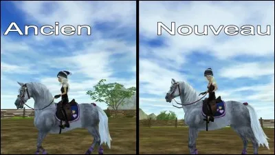 Comment s'appelle la race de départ ?