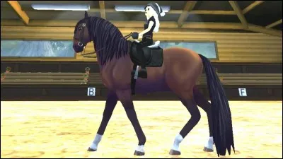 Quelle est la particularité du lusitanien (point gratuit) ?