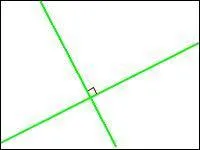 Qu'y a-t-il sur cette image ?