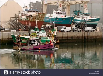 En Vendée, si on vous sert un plat de têtes de margate, qu'aurez-vous dans votre assiette ?