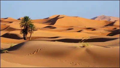 Parmi ces pays, lequel n'a pas sur son territoire une partie du Sahara ?