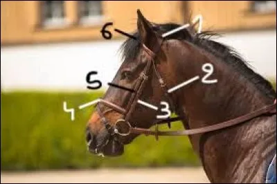 Comment nomme-t-on ces parties du filet ?