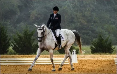 Quel est le mécanisme du trot ?
