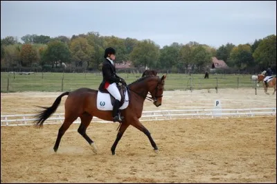 Quelles figures imposent un changement de main ?