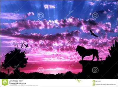 Parmi tous les vertébrés, quel animal a la plus longue durée de vie ?