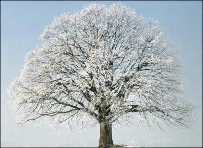 O sont-ils apports ?