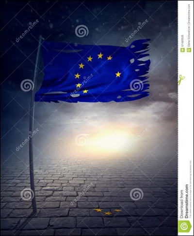 Le Traité de Maastricht qui consacre la naissance d'une Union européenne fut signé en 1992.