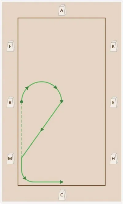 Quelle est cette figure de manège ?