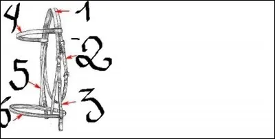 Quel numéro désigne la sous-gorge ?