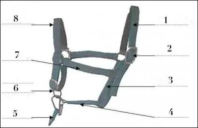 Que désigne la partie 7 ?