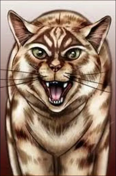 De qui &Eacute;toile du L&eacute;opard est-elle amoureuse ?