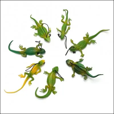 Quelles sont les proies du Clan de l'Ombre ?