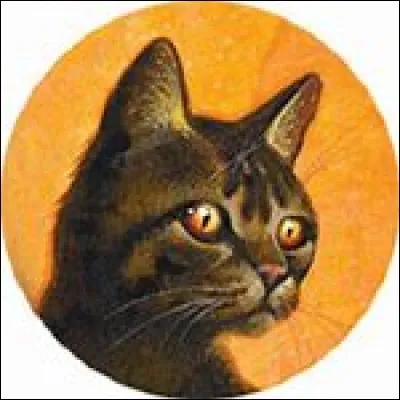 Quel est l'&eacute;lu du Clan du Tonnerre allant voir Minuit ?