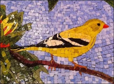 L'oiseau nommé "sansonnet" est un moineau :