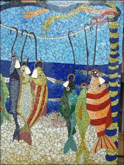 Le sansonnet est un maquereau :