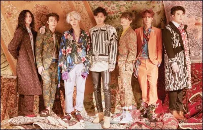 En quelle année ce groupe a-t-il débuté ?
(Super Junior)