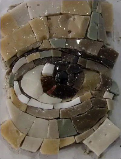 Qu'est-ce qui constitue la partie colorée de l'il ?