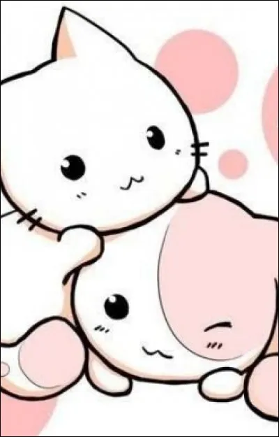 Quel était le nom d'apprentie de Sans-Visage ?