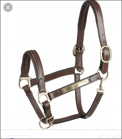 Quel est le nom de cet équipement ?