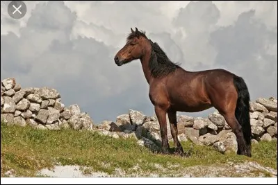 Quelle est cette robe ?