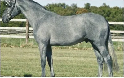 Quelle est cette robe ?