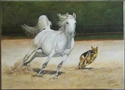 Selon Buffon, quelle est ''la plus noble conquête de l'homme'' ?