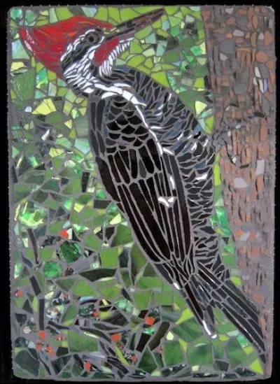 Qu'est-ce qui est caractéristique chez le pivert "Woody Woodpecker" ?