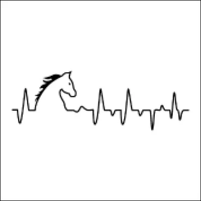 Quel est le rythme cardiaque du cheval au repos ?