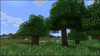 Avec quels matériaux fabrique-t-on un établi ?