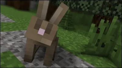 En tuant un lapin, que pouvons-nous ramasser ?